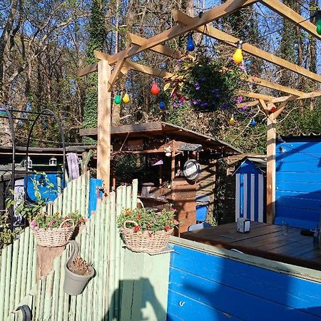 Maison 70M2 Calme Vue Sur Foret Salles  Eksteriør bilde
